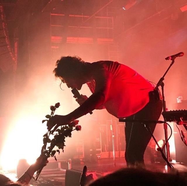 frangipanemind's tweet photo. luke deserves flowers and more https://t.co/xuZmCzlme3