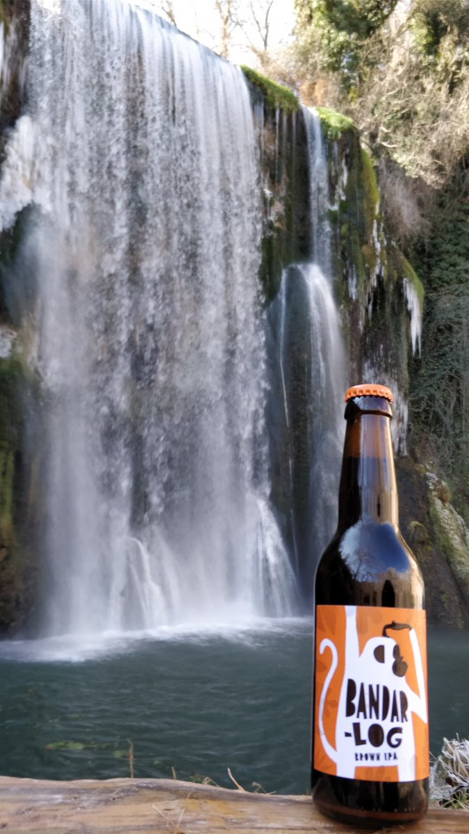 la_lenta_beer's tweet photo. 📣🔝 Així és la #BandarLog, la nostra 🍺 cerversa 🍺 + animal!
👉 Maltes
Maris Otter, Carapils, Crystal 150, Caramel Wheat, Chocolate
👉 Llúpols
Cascade, Citra
👉 Temperatura de consum
Entre 8 i 12 ºC C
👉 Tipus de got
IPA GLASS
#LaLenta #AnimalSide #Igualadinament https://t.co/sqfZgmrWYs