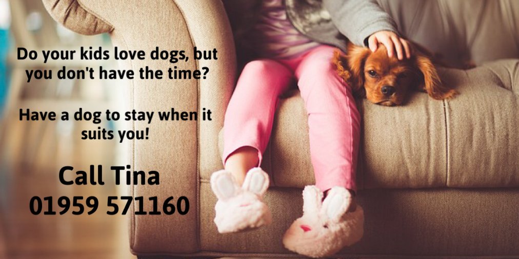 Wouldn't you like to be out walking a dog with the kids this Easter? Become a Barking Mad Host and look after a #dog in your home when it suits you Call 01959571160 to find out more. #Bromley #beckbromfl #dogsitting