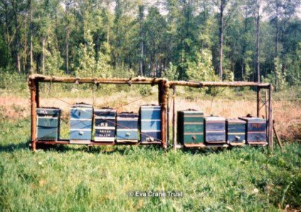 EvaCraneTrust's tweet image. Views from our gallery: Dr Crane&apos;s personal collection #bees #apiaries #beekeeping
#hives #BeeHistory  bit.ly/2xYBPdL