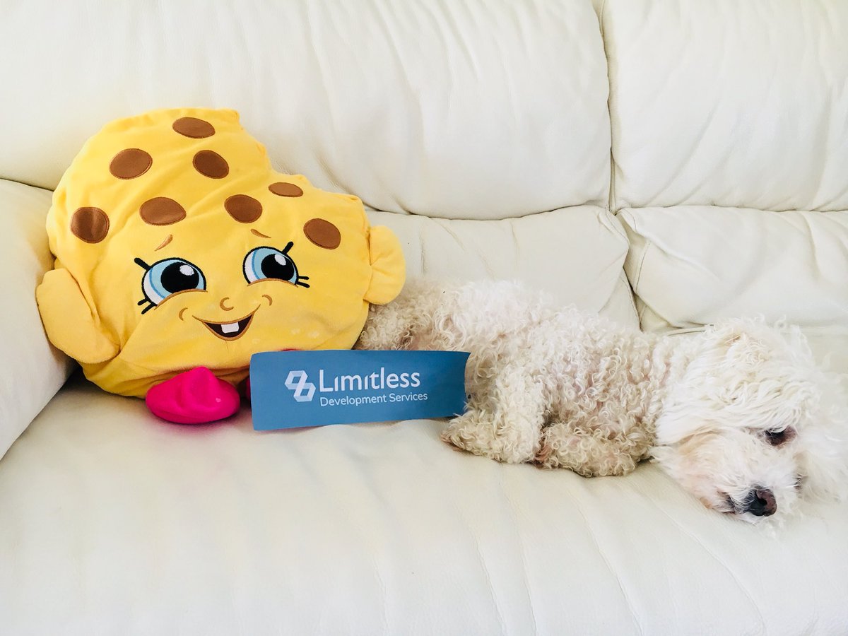 limitless_ds's tweet photo. #MondayMotivaton Distracted with from my work by this Limitless photo opportunity with oor Charlie and his best Shopkin friend.

#buildinglimitlesspossiblities #advertisingdog #shopkins #mondayfeels #limitless #limitlessdevelopmentservices #buildersofedinburgh https://t.co/C8TcEwTu0U