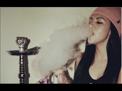 Shisha Shop tweet media