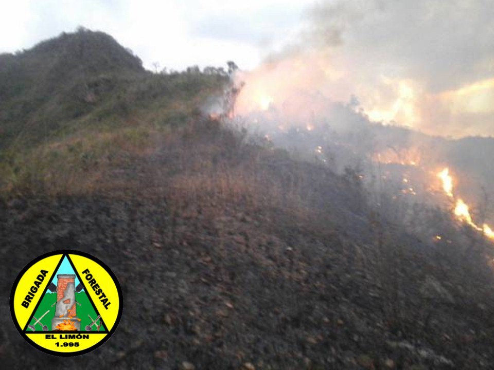 Forestales_13's tweet photo. .@Forestales_13 Combate y Extinción de Incendios Forestal Fila Pozo El Diablo - Fila Valle Verde Parque Nacional Henri Pittier .@vol_aragua .@VoluntarioxVzla .@pcmbi .@VGRPC .@RVAraguayan .@bforestalesinp .@PC_Aragua .@direc_pcaragua .@PCivil_Ve .@Minea_Aragua .@gestioninparqu3 https://t.co/jdz0XBQaEH