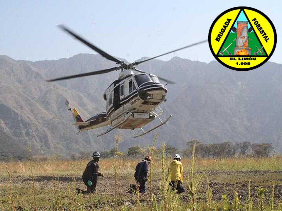 Forestales_13's tweet photo. .@Forestales_13 Combate y Extinción de Incendios Forestal Fila Pozo El Diablo - Fila Valle Verde Parque Nacional Henri Pittier .@vol_aragua .@VoluntarioxVzla .@pcmbi .@VGRPC .@RVAraguayan .@bforestalesinp .@PC_Aragua .@direc_pcaragua .@PCivil_Ve .@Minea_Aragua .@gestioninparqu3 https://t.co/jdz0XBQaEH