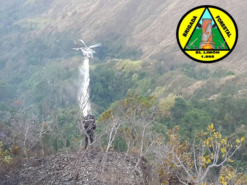 Forestales_13's tweet photo. .@Forestales_13 Combate y Extinción de Incendios Forestal Fila Pozo El Diablo - Fila Valle Verde Parque Nacional Henri Pittier .@vol_aragua .@VoluntarioxVzla .@pcmbi .@VGRPC .@RVAraguayan .@bforestalesinp .@PC_Aragua .@direc_pcaragua .@PCivil_Ve .@Minea_Aragua .@gestioninparqu3 https://t.co/2HFV1oiNC2