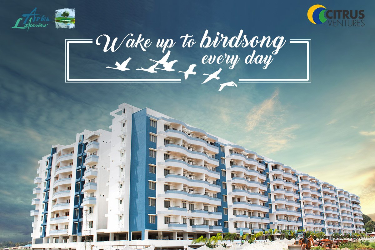 CitrusIndia's tweet photo. Overlooking the beautiful Jakkur lake, Aries Lakeview provides the best views to the surrounding waterscape and fauna. Book your slice of paradise today: https://t.co/Xh9Lp3zy4v https://t.co/V89XmPbya0