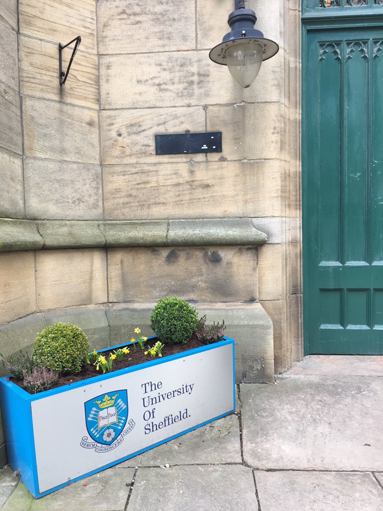 aomaom265's tweet photo. St George's Church = St George's Lecture Theatre - combination of local history and uni life #iconf_derive https://t.co/Zjf6M1c7oM