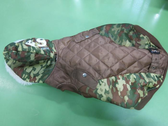 Japanesemichael Jackson 札幌市保健福祉局保健所 迷子期限 3月28日 性別 年齢 成犬 犬種 ミニチュアピンシャー 体格 小型 保護場所 東区北7条東9丁目アリオ札幌駐車場 黒色首輪 リード付き 迷彩柄洋服 迷子犬 アリオ札幌 情報