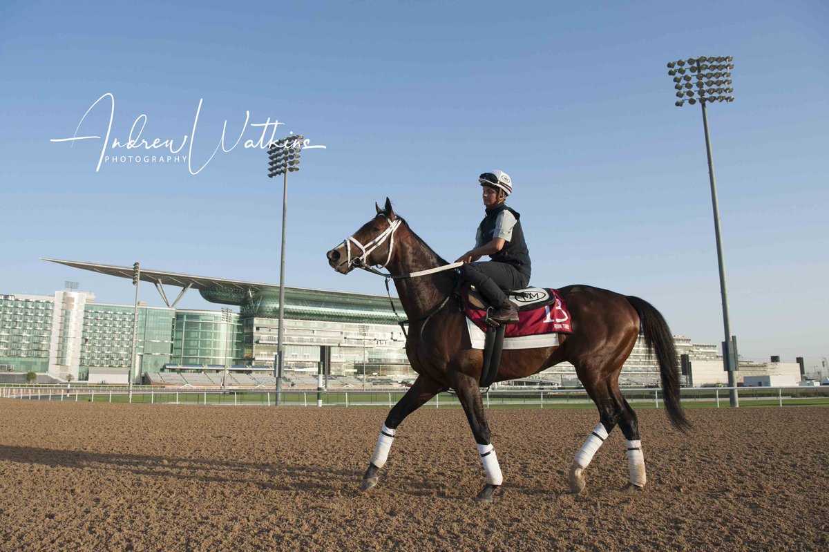 Run Time at Meydan this morning