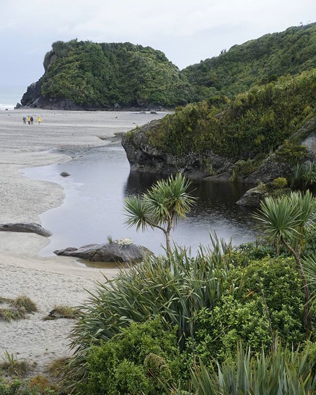 Titine's tweet image. Even in the pouring rain, the West Coast is beautiful. Ship Creek. #touraotearoa ift.tt/2G87zTr