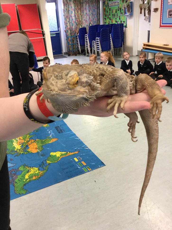 Bracken Lane Primary Academy tweet media