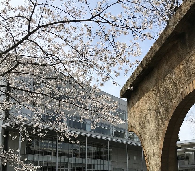 東京大学駒場図書館さん の人気ツイート 2 Whotwi グラフィカルtwitter分析 東京大学駒場図書館さん の人気ツイート 2 Whotwi グラフィカルtwitter分析