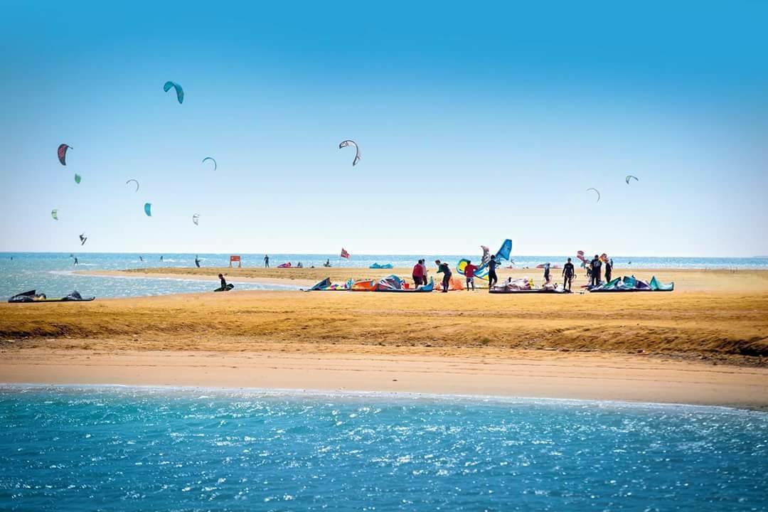 صباح الخير .. <a href="/TravianoEg/">Traviano - رحلات مصر</a> صاحبي بيقولكم شم النسيم لازم تقضوه في دهب ⁦❤️⁩ و عشان كدا عملكم رحله ب ٧٩٩ جنيه فندق أميجو إن شاء الله ⁦٣ ليالي ٤ أيام .. الي عايز يحجز يبقي يكلمه 01069933961 
الصورة دي بتحكي كل الكلام في اللاجونا في دهب ..