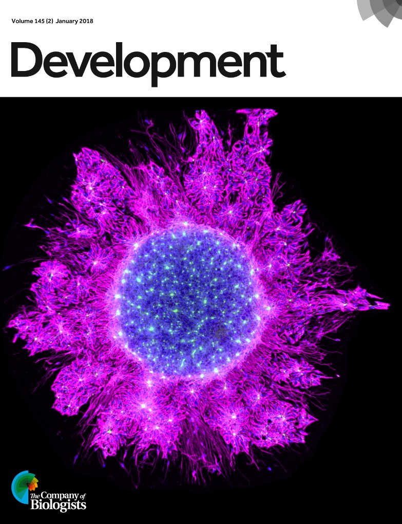 Dev_journal's tweet image. A reminder that we&apos;re currently seeking applications for a Reviews Editor!
Apply by April 8th - just let us know if you have any questions
Please Retweet!
thenode.biologists.com/reviews-editor…