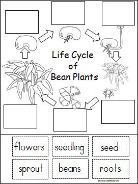 Jade Rayner tweet media