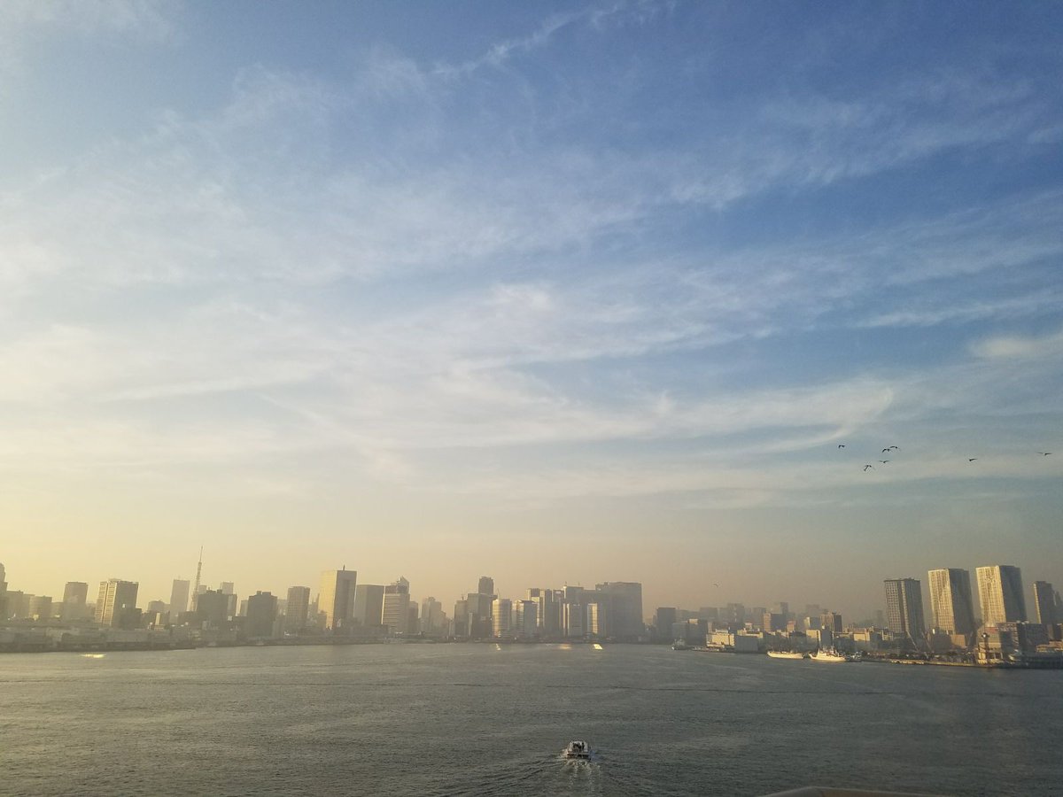 SMESinJapan's tweet photo. We are very lucky to return to Tokyo and see the cherry blossoms in full bloom. https://t.co/KZXWJLkGUA
