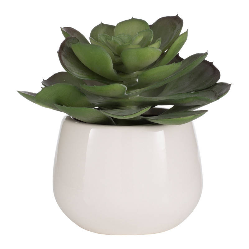 Aufora (@aufora) on Twitter photo 