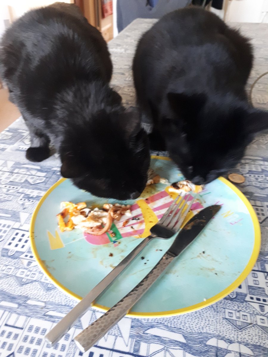 RagingMum72's tweet image. #clocksgoforward #MondayBlogs #blackcats #MrFuzzyPants #hashtagabuse#