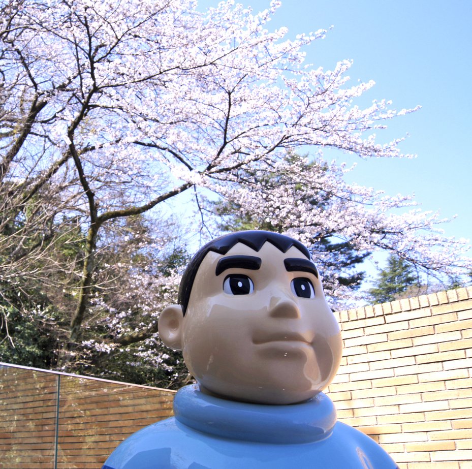 ドラえもん公式 ドラえもんチャンネル ぽかぽか陽気に誘われて 藤子ミュージアムの桜が満開に 今なら 春ならではの華やかな雰囲気のミュージアムが楽めますよ 開催中のイベントはこちらhttps T Co Uwx3vtz7ec ドラえもん 藤子ミュージアム ドラえもん公式 ドラえもんチャンネル ぽかぽか陽気に誘われて 藤子ミュージアムの桜が満開に 今なら 春ならではの華やかな雰囲気のミュージアムが楽めますよ 開催中のイベントはこちらhttps T Co Uwx3vtz7ec ドラえもん 藤子ミュージアム