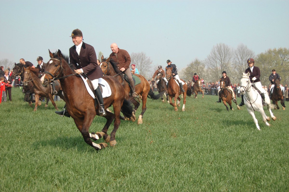 . <a href="/PPHakendover/">ppHakendover</a> staat te trappelen voor de paardenprocessie op paasmaandag in #Hakendover! Beleef dit unieke spektakel op paasmaandag vanaf 11.00 uur. Je vindt alle info op pp-h.be. #thuisintienen #Tienen