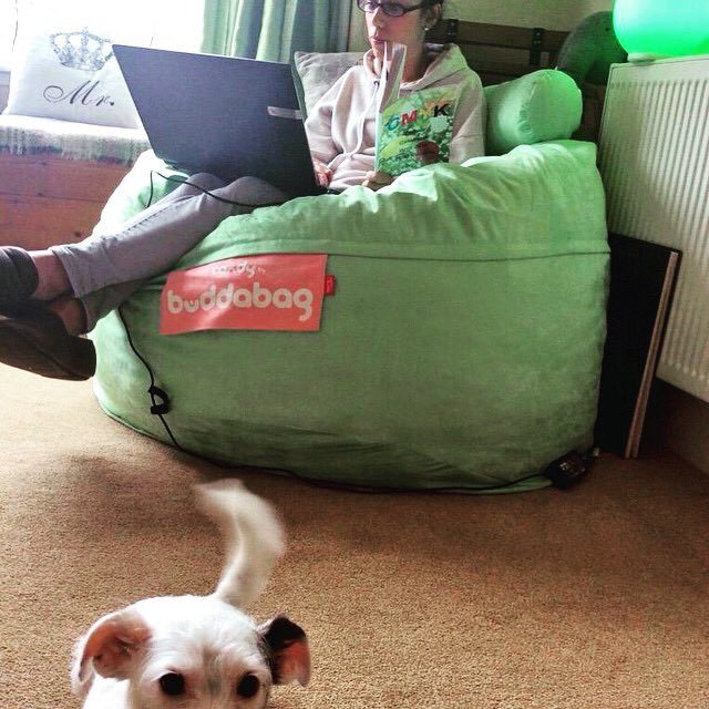 buddabag's tweet photo. Just because you’re outrageously comfortable doesn’t mean you can’t be outrageously productive!!!
#buddabag #motivationmonday #getitdone #terrierphotobomb #mintgreen #microsuede #isittimeforcoffeeyet https://t.co/bjzBGQYsfi
