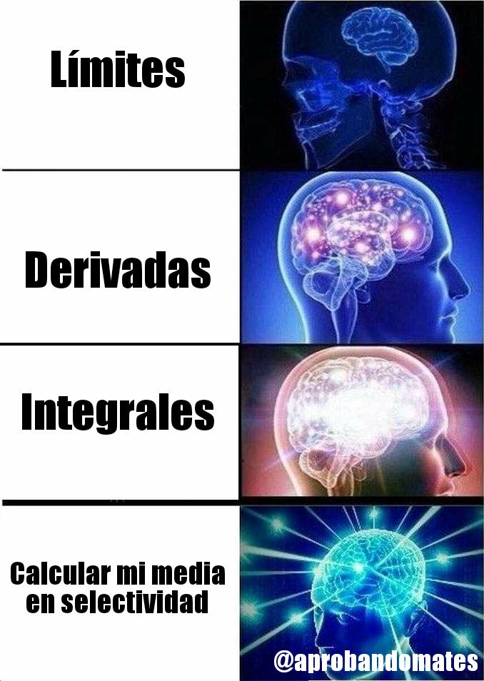 aprobandomates's tweet photo. #aprobandomates #matematicas #selectividad #pau #ebau #selectividad #2bachillerato #2bachiller #2bach #limites #derivadas #integrales #meme #humor https://t.co/6uXHk07mzR
