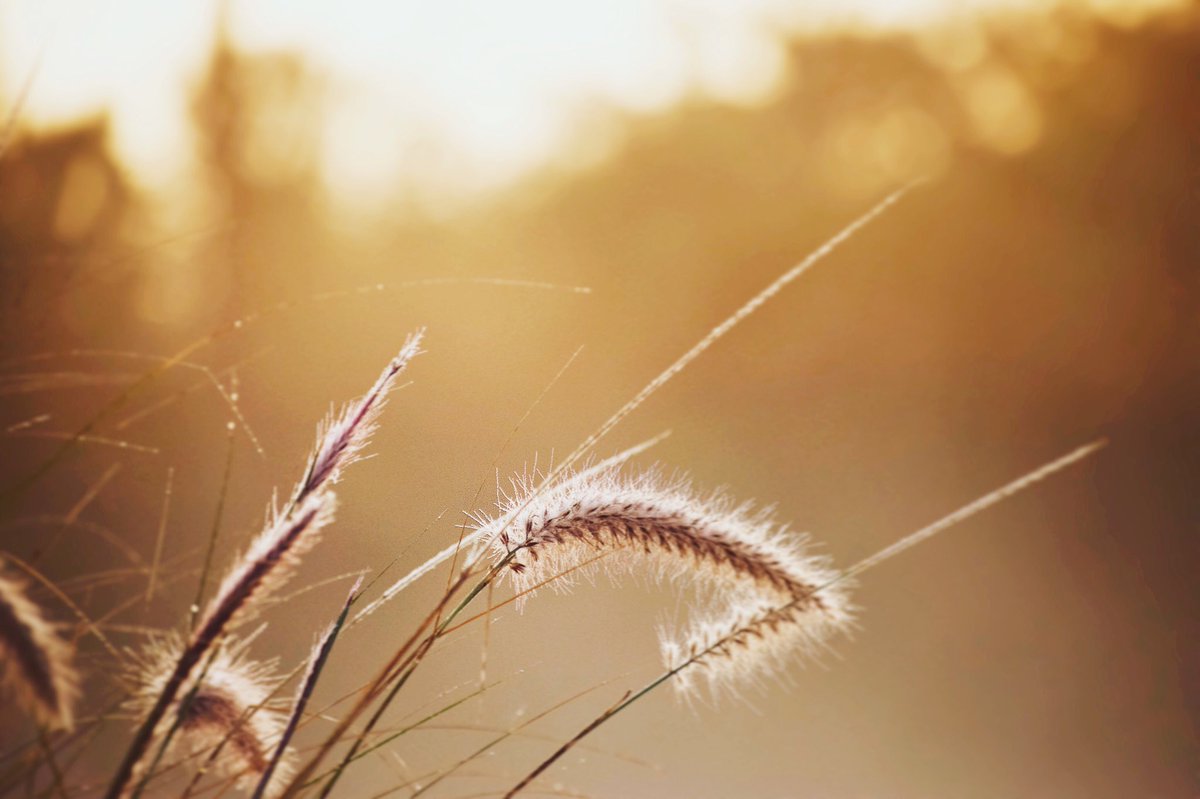 GolfRangeNet's tweet image. Good Morning ☀️ 

golfrangenetting.com