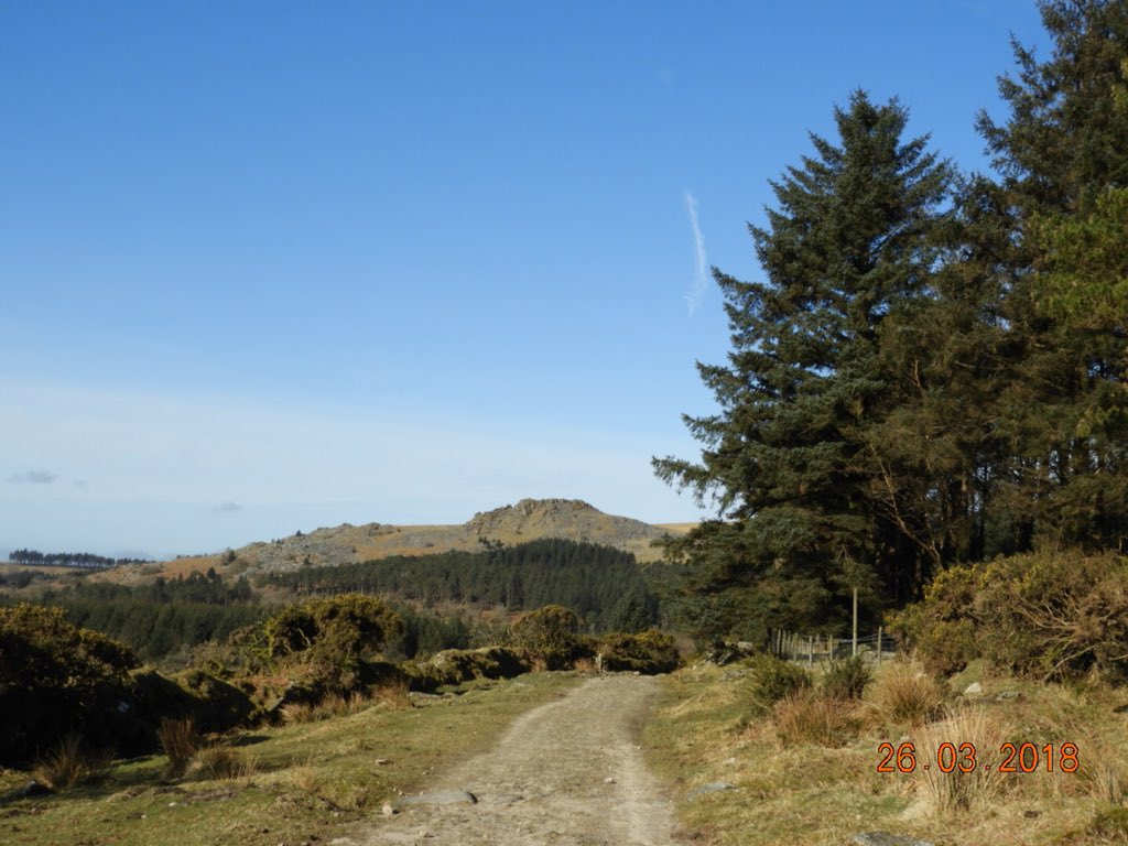 Katrina_6000's tweet photo. Making the most of a beautiful day on #Dartmoor with views of #Burrator and #Sharpitor and #Crazywell https://t.co/H0Vh1Vp1Sb