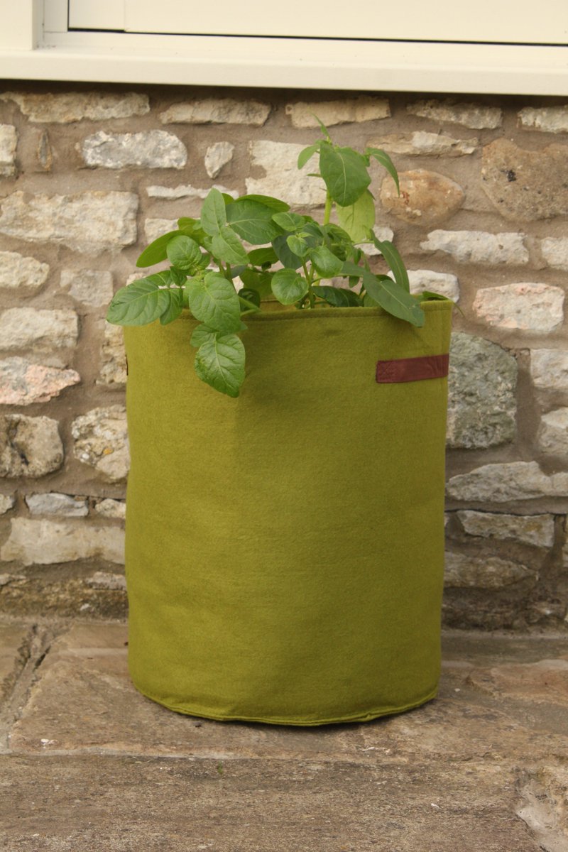 Vigoroot Potato Planters are a great sustainable gardening choice. Made from a 100% recycled material and reusable for several seasons, after which they can be cut up and used as capillary matting. Nothing beats freshly dug spuds!
agriframes.co.uk/vigoroot-pots-…