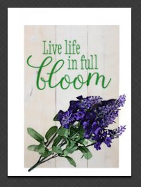 SimplySaidChris's tweet photo. Come design yours! Space available! Many to choose from! https://t.co/pOtlHmdeUR