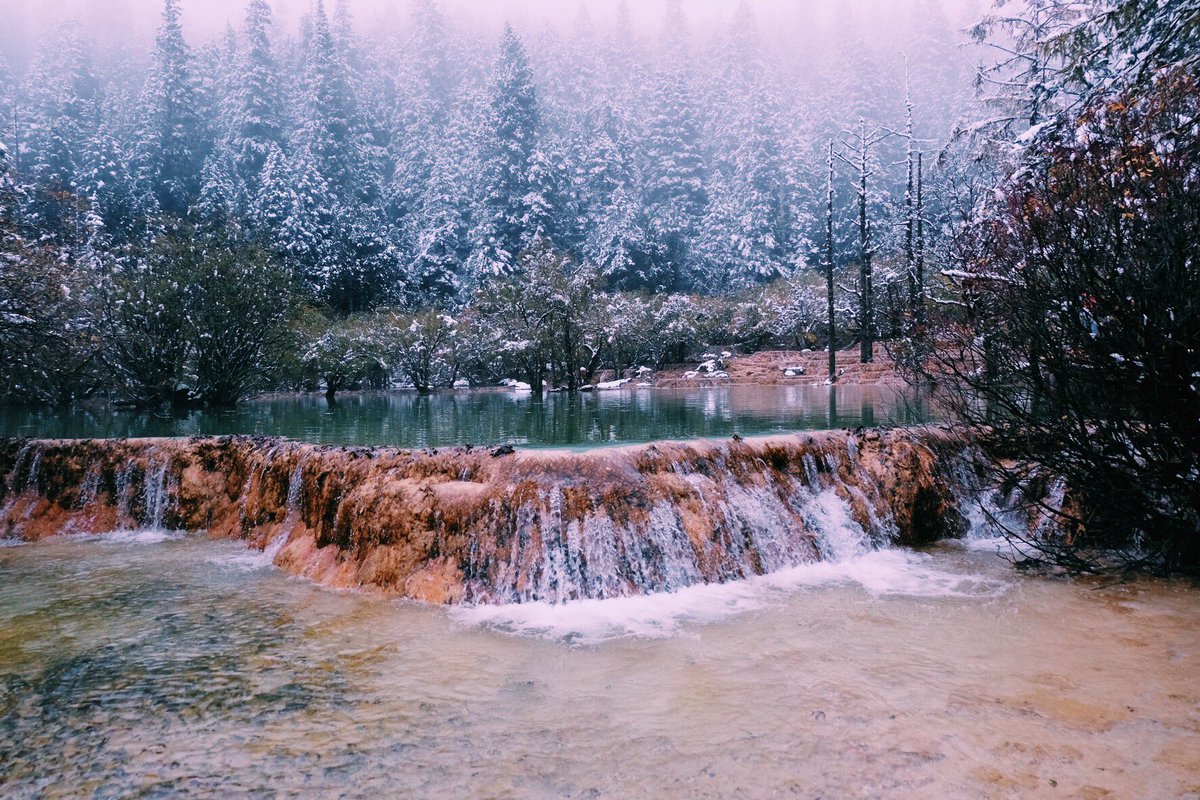 ขายของกินของใช้ทุกอย่าง tweet media