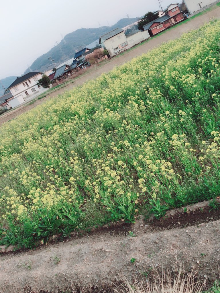 OgataYuuna's tweet photo. 最近はいい天気ですね〜♪
お昼寝がはかどりますヽ(・∀・)
犬山ぐるぐるコースよきでした！

#犬山
#ぐるぐる
#いいねくれた人全員フォロー https://t.co/3PoVXCrHpY