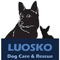 Timos_Bar's tweet image. Barlaston Golf Club set to shut down dog rescue &amp;amp; pub over car parking spaces - help and support urgently needed :-(