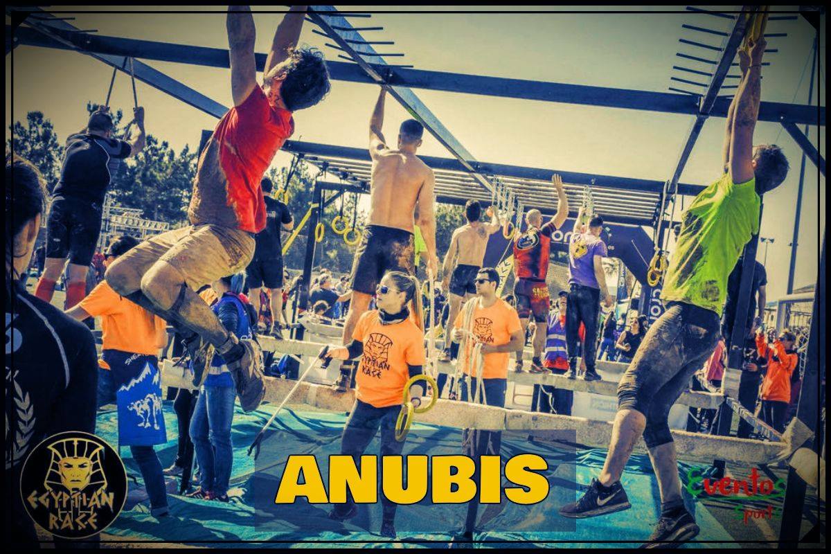 EgyptianRace's tweet photo. ¿Preparado/a para volverte a enfrentar a nuestro querido ANUBIS?😏😏😏

El próximo 19 de Mayo te espera💪💪💪. 

Inscríbete en🤗🤗🤗:

👇👇👇

https://t.co/1gr94bukUw https://t.co/NksL1AtcZb