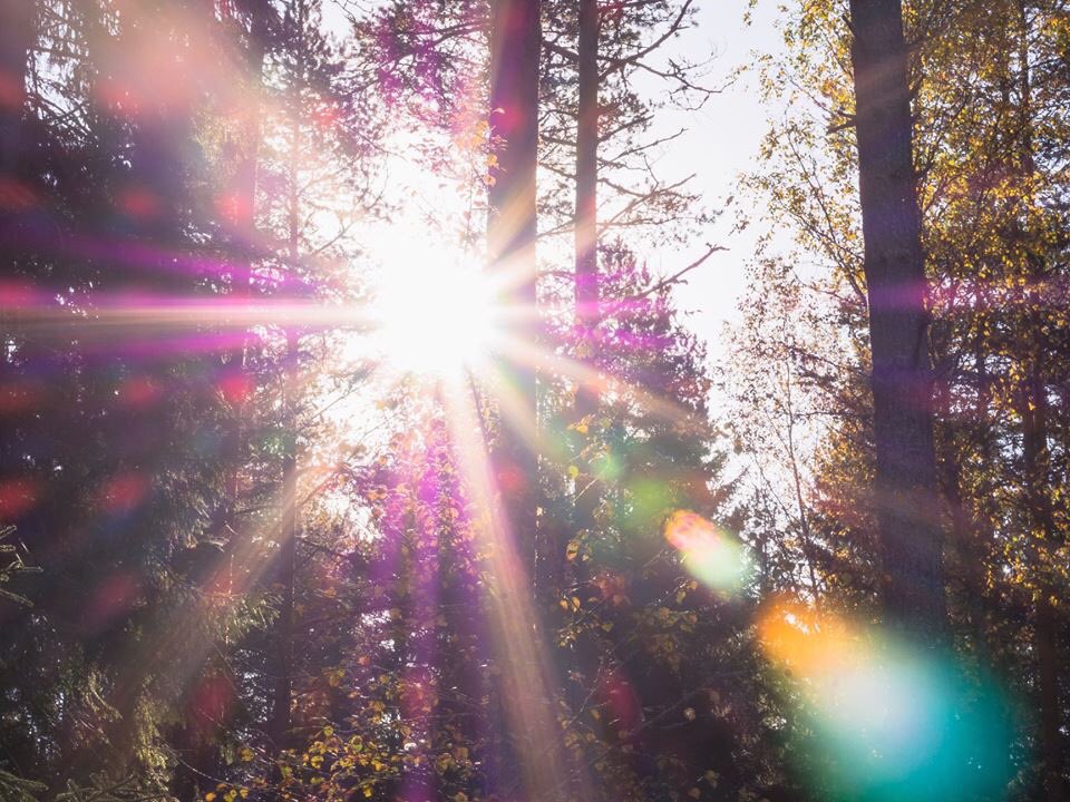 SanskritStudies's tweet photo. #Sanskritwordoftheweek: Prakāśa, clear, bright, shining and luminous. ~ #Manorama 
-
-
-
#yogicclarity #lightoftradition #prakasha #parampara #yogaeverywhere #padepade #luminoussoul photo by #patrickselin https://t.co/s8MsL27jZ7