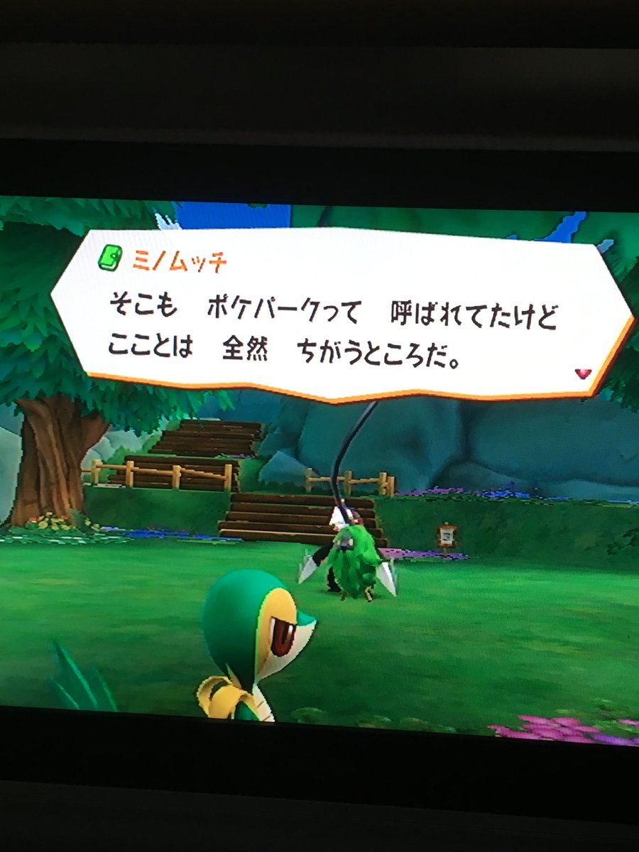 ポケパーク観光