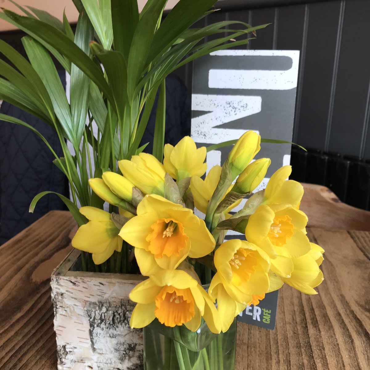 Spring has come to Natter #farncombe #godalming
