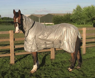 LegacyJods's tweet photo. Glorious sunny Spring days like this make us think forward to a (hopefully!) balmy Summer and the need for exceptional #flyprotection. Check out our range! #LegacyEquestrian #Flyrug #Flymask #Equestrianstyle #horsehour https://t.co/z7L2115HJi https://t.co/Q4iLwfcZKW