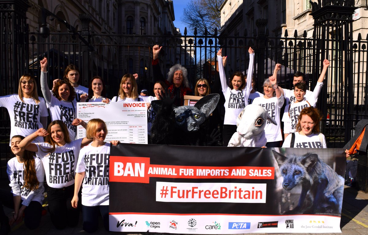 PETAUK's tweet photo. Joined by Queen guitarist @DrBrianMay, animal-protection campaigners, and a giant “fox” and “rabbit”, we've just delivered over 400,000 signatures to No 10 Downing Street calling for a #FurFreeBritain 👊🐰🦊🐺https://t.co/CLU5lyMB6A https://t.co/KwAzV1JJkD