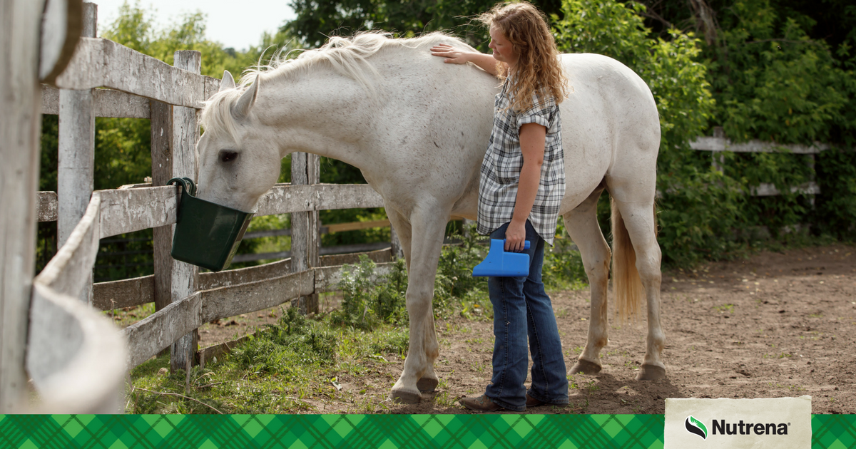 Feeding and managing the pregnant mare is essential to the development of the growing foal. #feedingthepregnantmare #raisinghorses #nutrena pbxx.it/Fc2s9V
