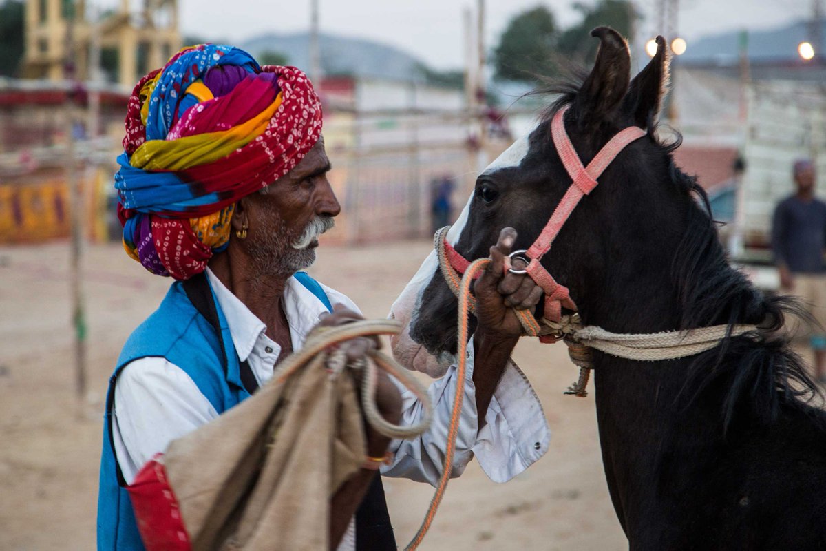 Sahapedia's tweet photo. Check out this poignant collection of images from #PushkarMela, 2017 by @dineshkhanna. For more: https://t.co/lm9v80COAX
#TheThar #TharDiaries @my_rajasthan #RajasthanDiaries #Rajasthan #traveldiaries #tourism #IncredibleIndia #tradition #travel #photography #JaaneKyaDikhJaaye https://t.co/AJRN3GJOl4