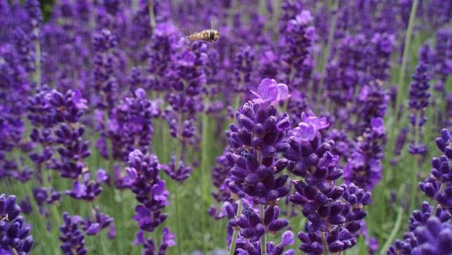 NaturalProdctCf's tweet image. several comprehensive #toxicologicalstudies on some #naturalextract. #Plantpathology, #ForestEcology, #PlantTissueCulture , #PlantBiotechnology, #PlantMicrobiology, #PlantPathology, #PlantBreeding, #SyntheticBiology, #PlantBiochemistry, #PlantMorphology …roducts.pharmaceuticalconferences.com