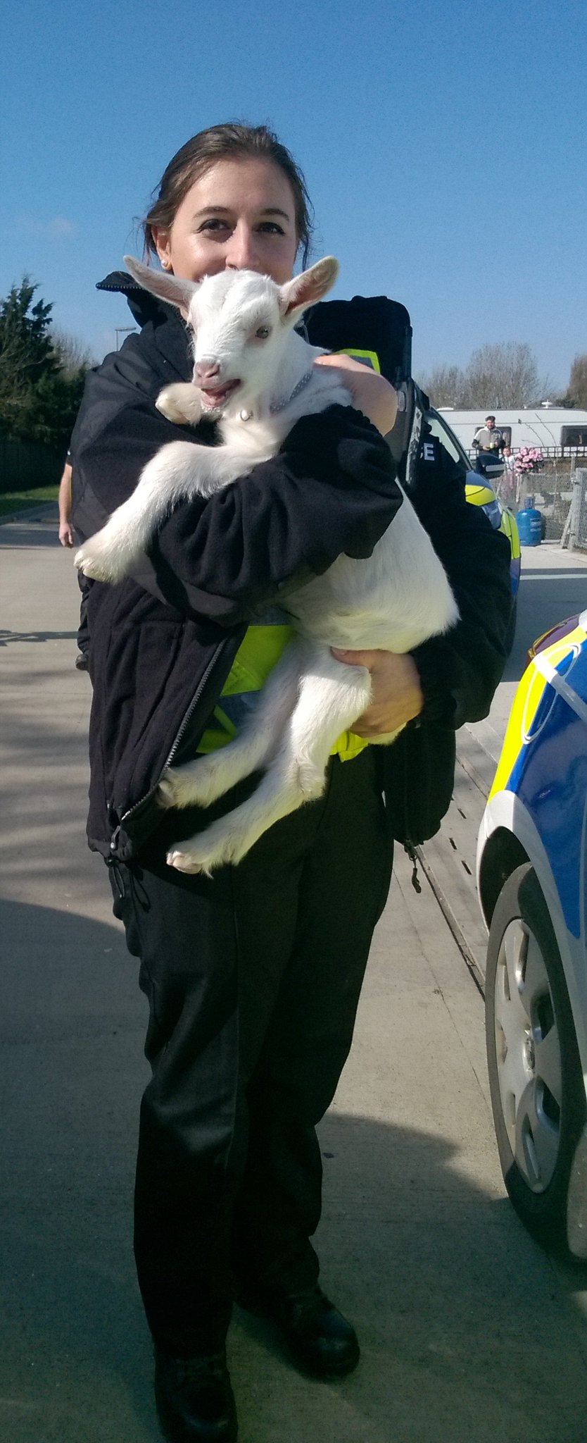 Beds Police Rural on Twitter "Pleased to be reuniting this lovely