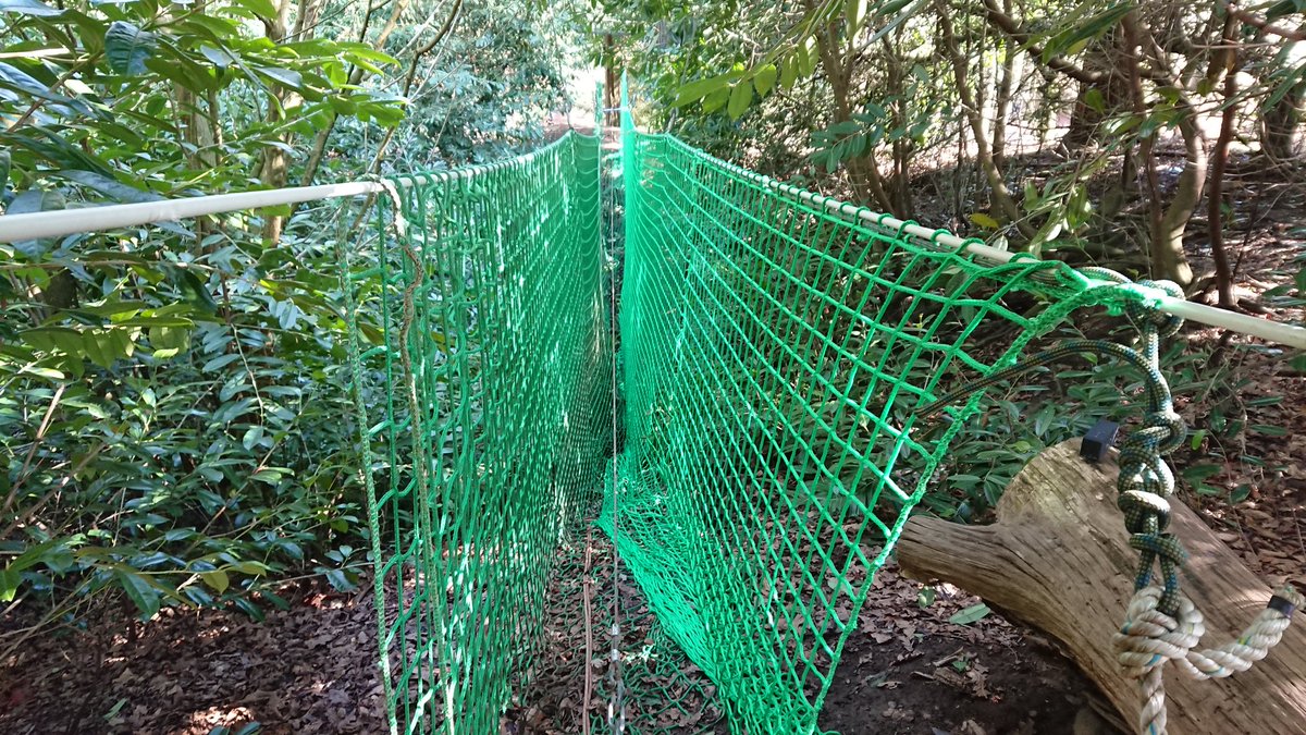 RyanTritton's tweet image. Out with old in with the new. @WoodrowHH