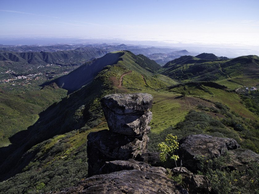 El sábado 7️⃣️ de abril realizaremos la ruta del Tajinaste por los Alfaques y el Barranco de la Umbría👣🌳🌾
¡Vente a pasar el día con nosotros!
➕ información e inscripciones
659 311 777 (Whatsapp)
valsequilleando@gmail.com