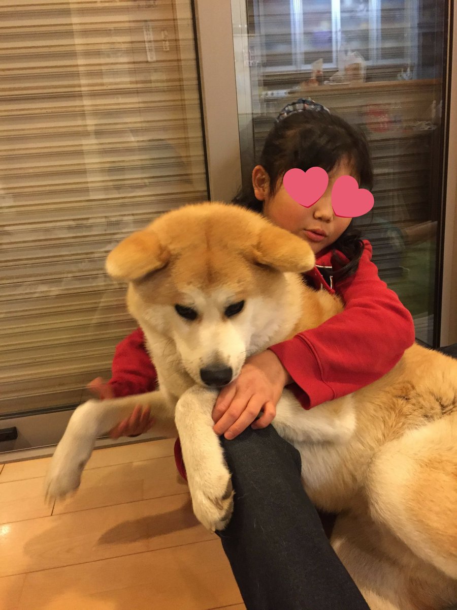 中学入学に向け大掃除中の娘 ランドセルどうしたらいい 母 好きにしなさぁ い その結果こんなに可愛いことに Togetter 中学入学に向け大掃除中の娘 ランドセルどうしたらいい 母 好きにしなさぁ い その結果こんなに可愛いことに Togetter