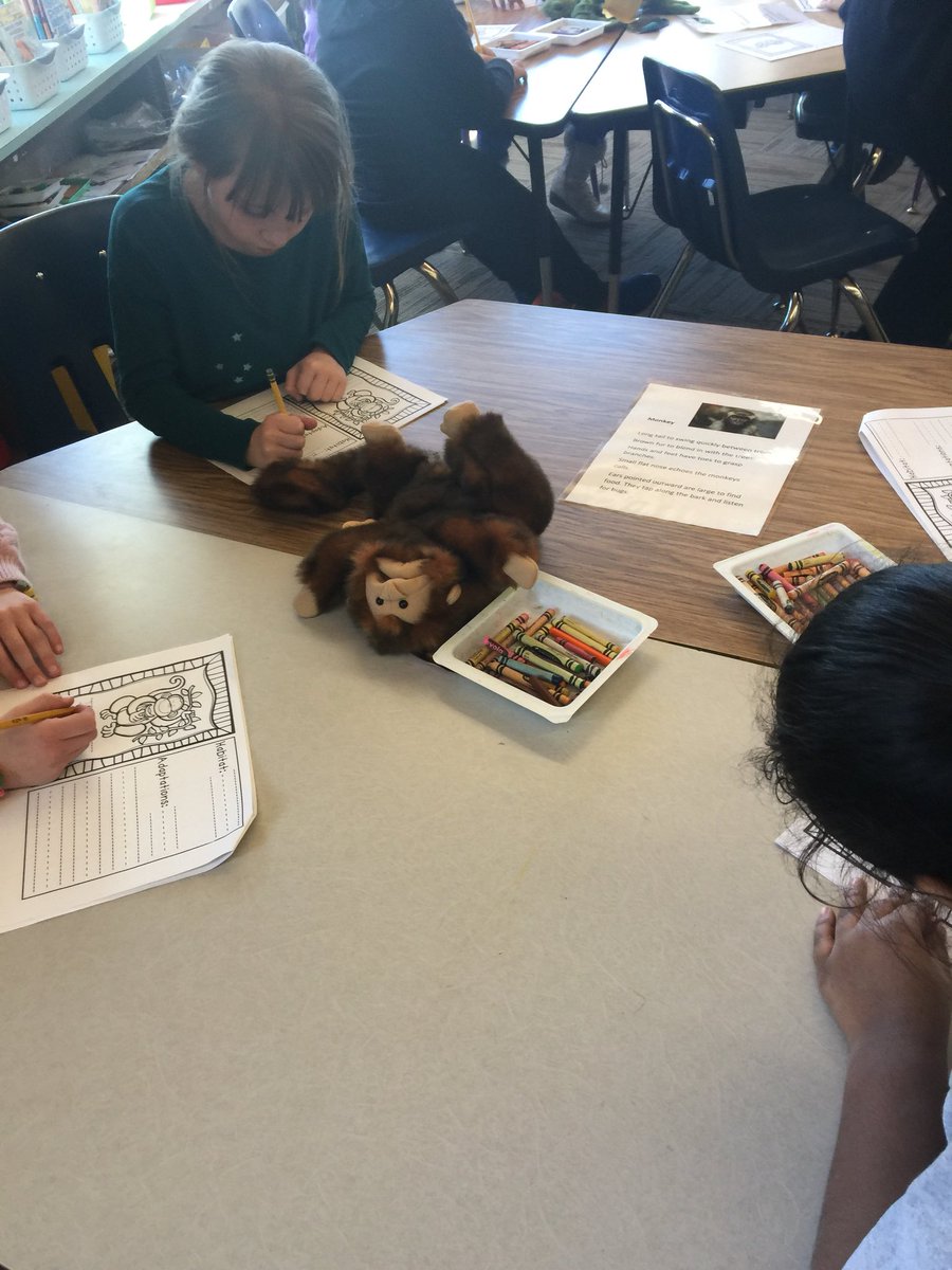 capecodlibrary's tweet photo. Thanks to the DY Educational Foundation Grant we are using @Folkmanis puppets for our animal adaptation lesson https://t.co/kL3tGQ6E5d