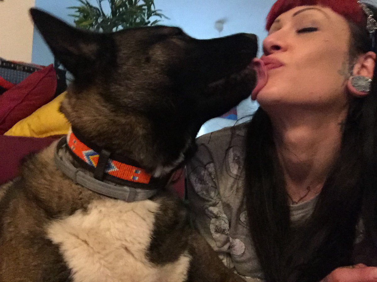 RettondiniVicky's tweet photo. Dora #Akita #americanakita #akitaamericano #akitalove #doglovers #dogslife https://t.co/myIrCyd423