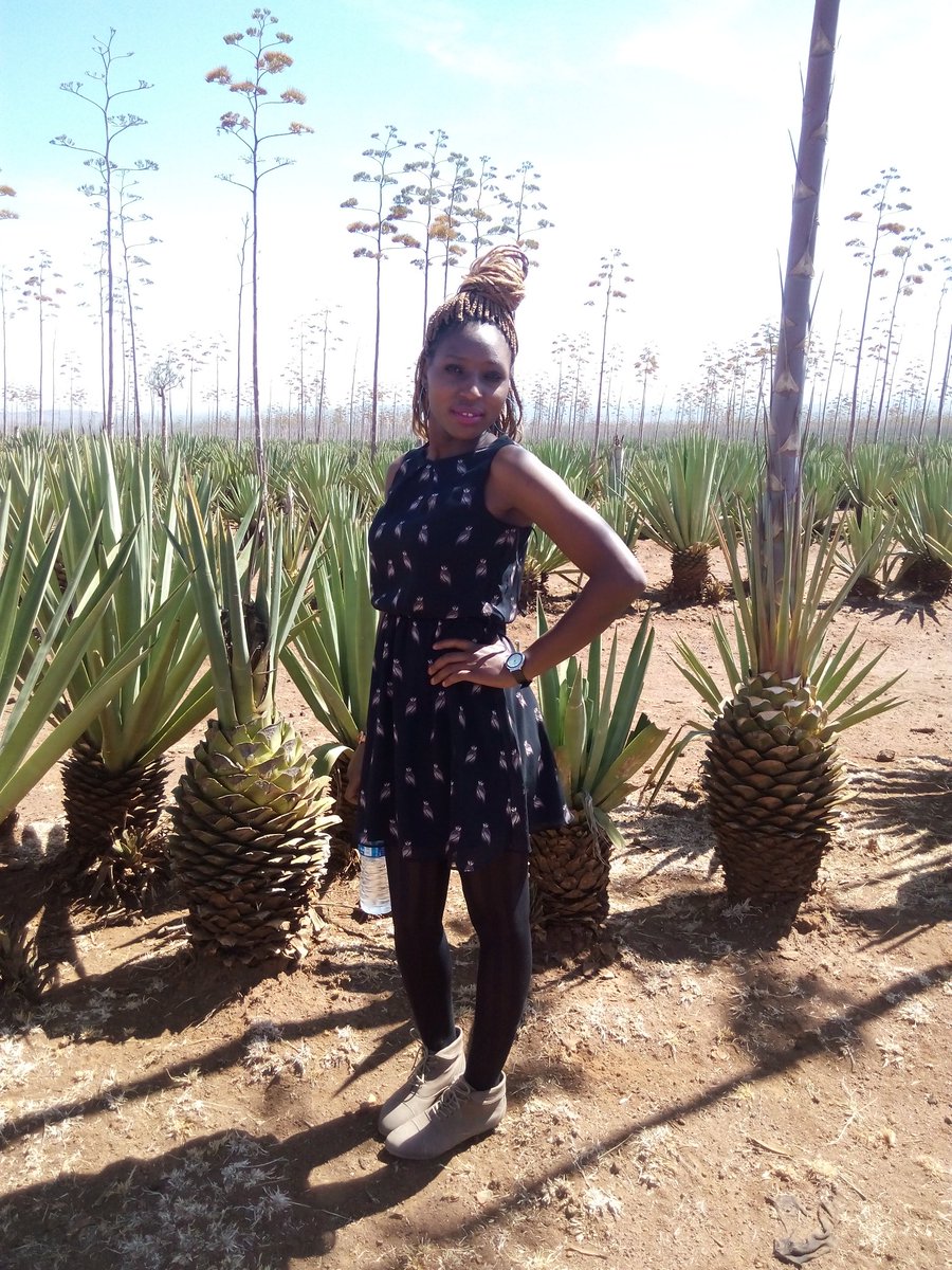bnyabuti_'s tweet photo. Update on Baringo
I was honored to tour @Baringo_county, the sisal farms, the equator and the hotels were amazing! I loved the beautiful scenery of hot water springs at lake bogoria and fresh water lake of lake baringo! @Nyacharo_, @CateMaina_KE @Leratotravel
#TeamModel_Nicky https://t.co/4oVh52uoAQ