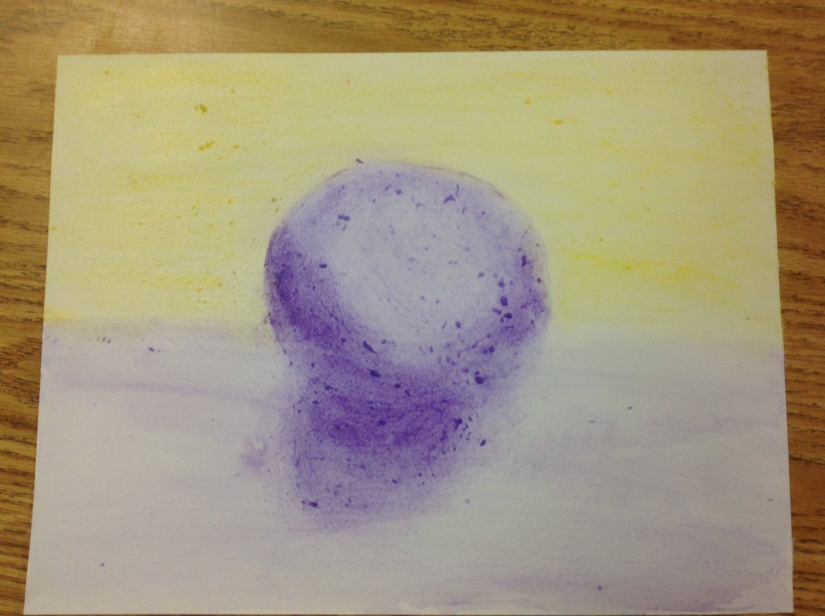 SusanPeachy's tweet photo. @IRaCoyote @coyoresconnect. Room 10 artists finished painting spheres on a table using different values and complementary colors. https://t.co/zF1c15lXnT